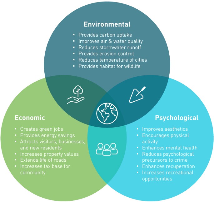 Benefits of Urban Forestry 
