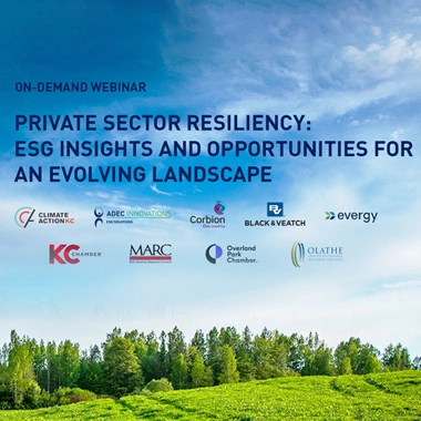 Webinar Recap: Private Sector Resiliency - ESG Insights and Opportunities thumbnail