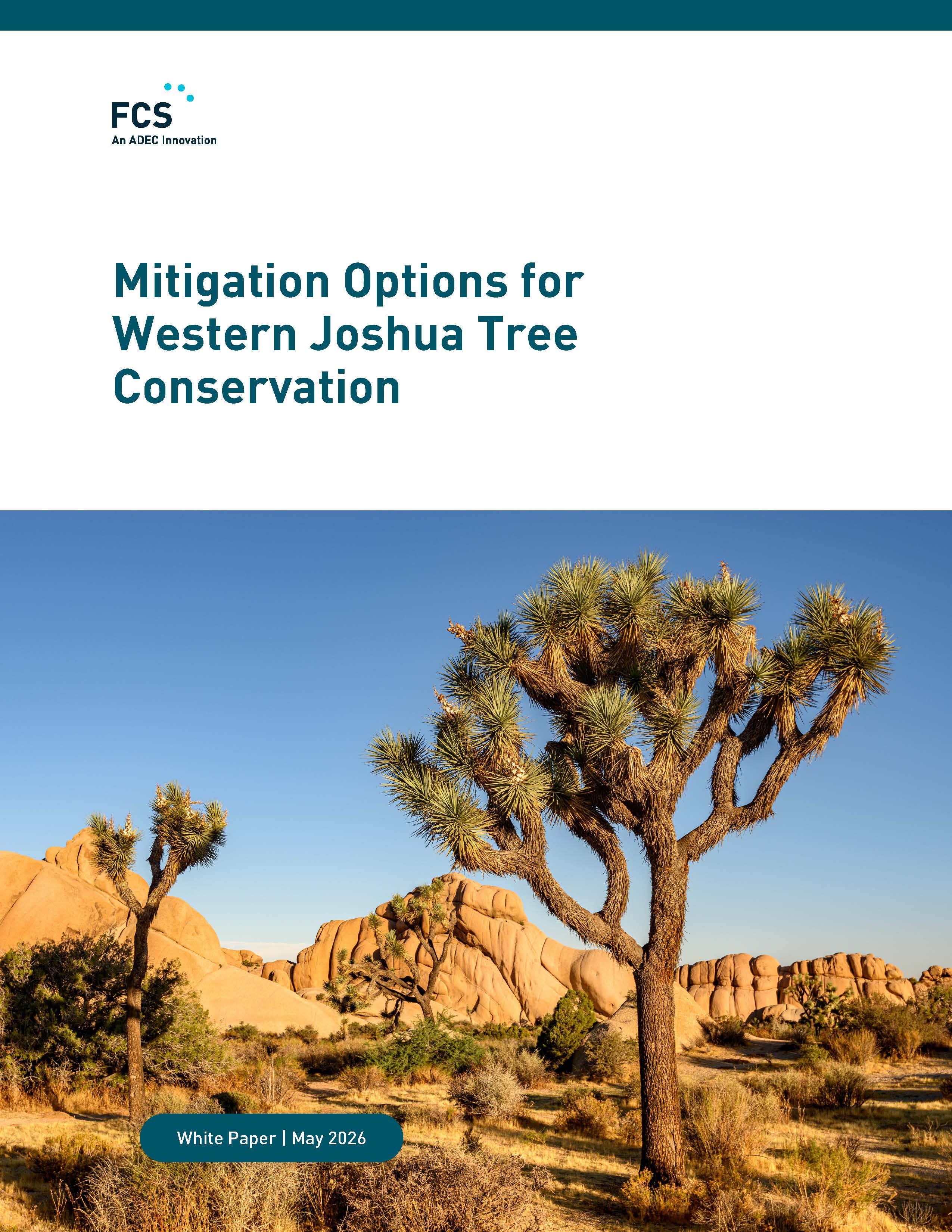 Image Mitigation Options for Western Joshua Tree Conservation