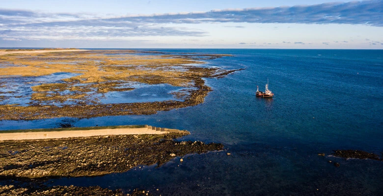 Gulf of Oman image