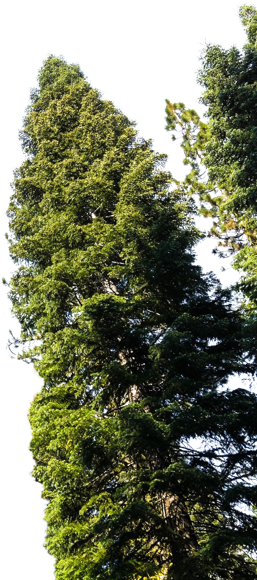 Biological Resources Management image