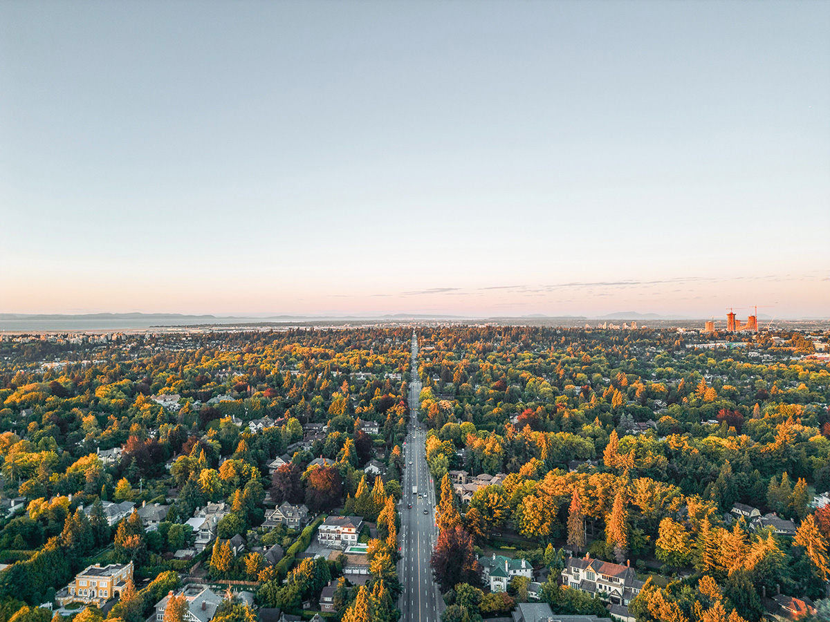 Arboricultural Services thumbnail